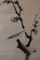 K04k4 梅と鶯 Ume Plum Tree & Bush Warbler Japanese Hanging Scroll Paintings & Scrolls photo 2