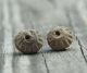 Two (2) Ancient Pre - Columbian Spindle Whorl Beads Hand Etched Peru 600 Ad The Americas photo 4