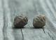 Two (2) Ancient Pre - Columbian Spindle Whorl Beads Hand Etched Peru 600 Ad The Americas photo 6
