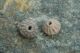 Two (2) Ancient Pre - Columbian Spindle Whorl Beads Hand Etched Peru 600 Ad The Americas photo 7