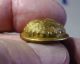 Massachusetts Volunteer Militia Uniform Button Arm/sword Robinson Maker 1835 - 45 Buttons photo 1