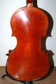Fine Antique 4/4 Fullsize Violin - Label Antonio Sgarbi Roma - From 1886 String photo 4