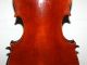Fine Antique 4/4 Fullsize Violin - Label Antonio Sgarbi Roma - From 1886 String photo 5