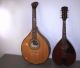 Antique Old Vintage Waldzither Cittern - - Mandola Mandolin Octave Banjo String photo 1