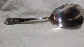 Alvin Sterling Silver Flatware Pattern Apollo Berry Spoon photo