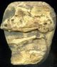 Pre - Columbian Michoacan Mexico Clay Figure Head,  Ca; 500 - 300 Bc The Americas photo 4