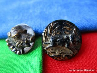2865 – 2 “boar” Pig Buttons,  One Brass On Steel W 5 Cut Steels,  One Glass photo
