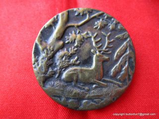 2860 – “stag At Rest” Deer Motif 1800s Large Brass Picture Button photo
