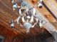 Antique 1920 ' S Achitectual Wrought Iron By Hand Chandelier Victorian Patina Chandeliers, Fixtures, Sconces photo 3