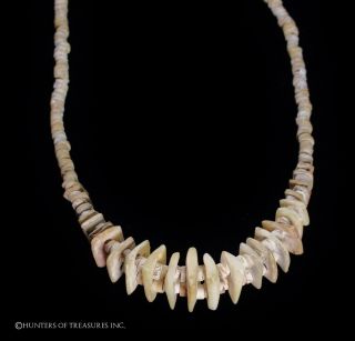 Ancient Pre Columbian Tairona Shell Beads Necklace Artifact photo