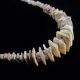 Ancient Pre Columbian Tairona Shell Beads Necklace Artifact The Americas photo 1