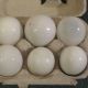 12 Antique Blown Glass Eggs Primitives photo 1
