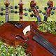 Master - Grade Antique Czech Violin By Johann Michl & Sohn.  Great Build & Sound String photo 9
