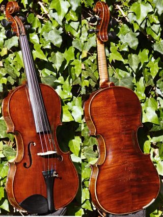 Master - Grade Antique Czech Violin By Johann Michl & Sohn.  Great Build & Sound photo