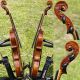 Master - Grade Antique Czech Violin By Johann Michl & Sohn.  Great Build & Sound String photo 2