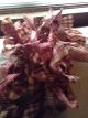 Rag Garland,  Swag Country,  Primitive 6 ' Barn Red And Tan Hand Made From Homespun Primitives photo 1