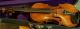 Old Violin Giuseppe Fiorini 1897 String photo 10