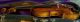 Old Violin Giuseppe Fiorini 1897 String photo 11