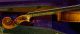 Old Violin Giuseppe Fiorini 1897 String photo 7