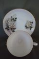 Vintage Queen Anne White Roses Cup And Saucer Gold Accent Made In England Cups & Saucers photo 1