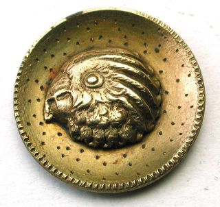 Antique Brass Cup Button Parrot Head Design photo