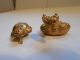 2 Gold Tairona Pendants Turtle Pre - Columbian Archaic Ancient Artifacts Mayan Nr The Americas photo 5