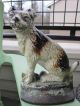Xxrare Creations Co.  1930 Wirehaired Fox Terrier Dog 159 Art Statue Doorstop Metalware photo 9