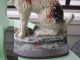 Xxrare Creations Co.  1930 Wirehaired Fox Terrier Dog 159 Art Statue Doorstop Metalware photo 6
