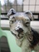 Xxrare Creations Co.  1930 Wirehaired Fox Terrier Dog 159 Art Statue Doorstop Metalware photo 8