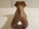 Nicoya Jaguar Figure Pre - Columbian Archaic Ancient Artifact Costa Rica Mayan Nr The Americas photo 9