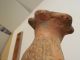 Nicoya Jaguar Figure Pre - Columbian Archaic Ancient Artifact Costa Rica Mayan Nr The Americas photo 10