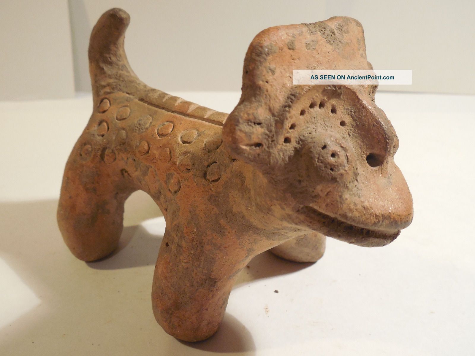 Nicoya Jaguar Figure Pre - Columbian Archaic Ancient Artifact Costa Rica Mayan Nr The Americas photo