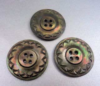 3 Antique Buttons Hand Carved Shell Dark Mother Of Pearl photo