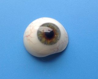 Vintage Antique Human Prosthetic Glass Eye Military Medical photo