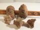 5 Taino Heads Arawak Puerto Rico Pre - Columbian Archaic Ancient Artifacts Mayan The Americas photo 1