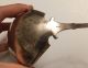 Antique Coin Silver Curved Punch/soup Ladle Coin Silver (.900) photo 6
