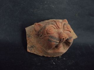Ancient Teracotta Lion Head Roman C.  200 Bc S1204 photo
