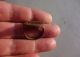 Ancient Greek Engraved Iron Ring - Circa 500 B.  C. Greek photo 5