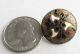 2 Enamel Buttons W Gilt And Flowers And Pierced Buttons photo 1