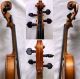 Antique Guseto Violin - Germany 1930,  Fully Restored.  Carbon Bow,  Gewa Case, String photo 3