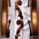 Antique Guseto Violin - Germany 1930,  Fully Restored.  Carbon Bow,  Gewa Case, String photo 4