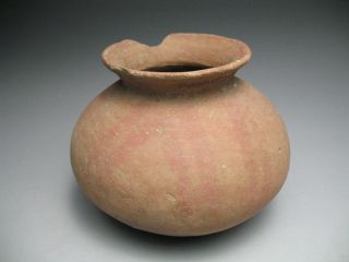 Pre Columbian Jalisco Pottery Ola Jar Vase - - As Found photo