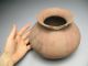 Pre Columbian Jalisco Pottery Ola Jar Vase - - As Found The Americas photo 8