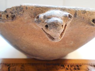 Panama Turtle Bowl Pre - Columbian Archaic Ancient Artifacts Veraguas Cocle Mayan photo