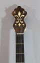 Antique Circa 1920s Aa Farland,  Concert Grand,  5 - String Birdseye Maple Banjo String photo 1