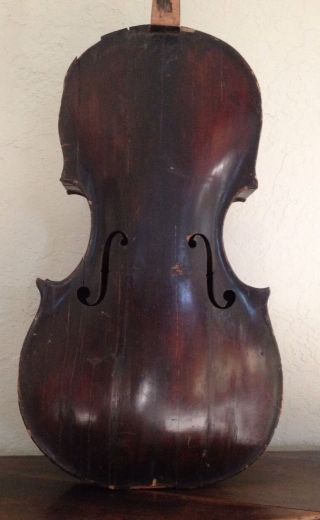 Rare Antique Baroque Cello Violoncello Piccolo Viola Da Spalla (violin Gamba) photo