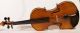Fine Violin Guadagnini Copy Possibly By Candi Geige Violon Violine Violino Viola String photo 1
