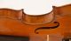 Fine Violin Guadagnini Copy Possibly By Candi Geige Violon Violine Violino Viola String photo 5