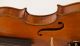 Fine Violin Guadagnini Copy Possibly By Candi Geige Violon Violine Violino Viola String photo 6