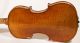 Fine Violin Guadagnini Copy Possibly By Candi Geige Violon Violine Violino Viola String photo 8